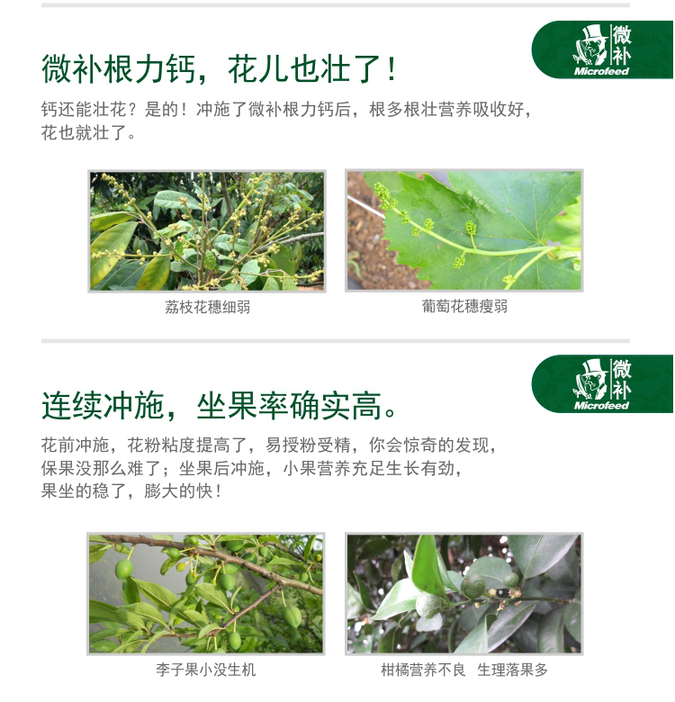 微补根力钙
