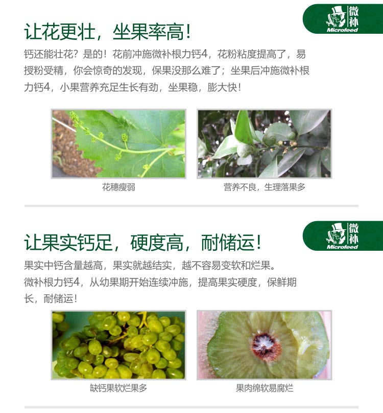 微补根力钙4