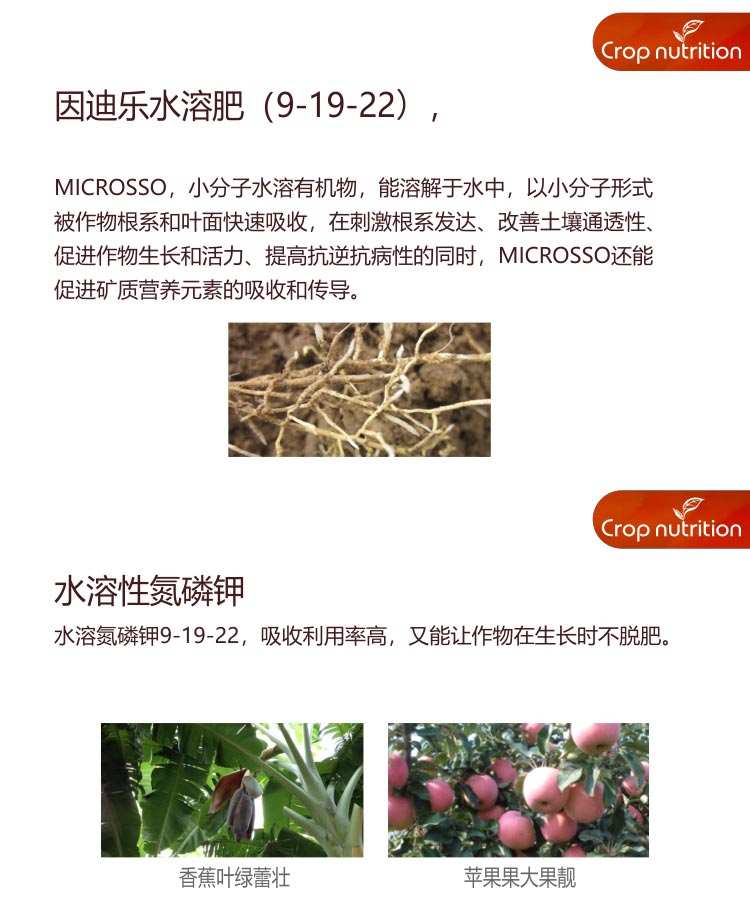 因迪乐水溶肥（9-19-22）