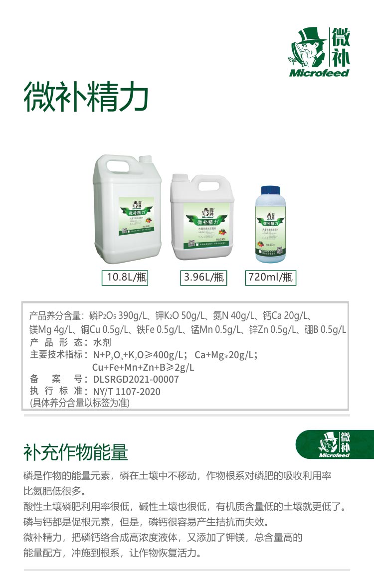 微补精力