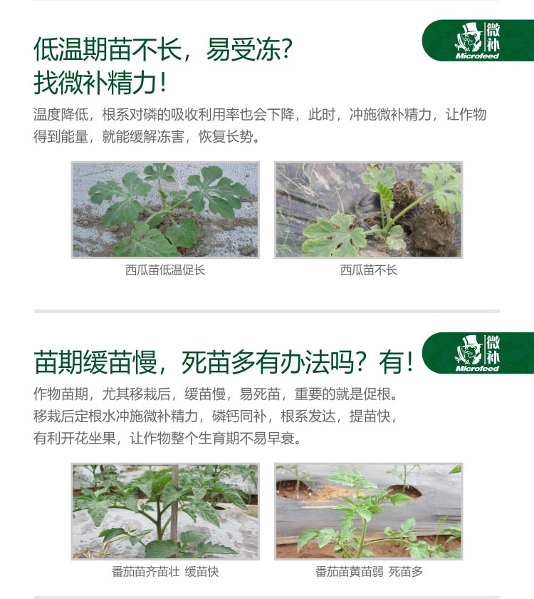 微补精力