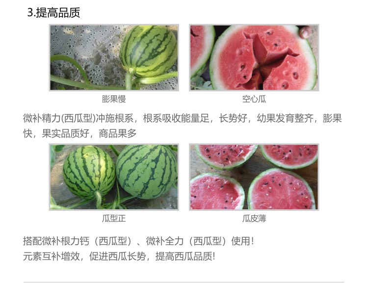 微补精力（西瓜型）