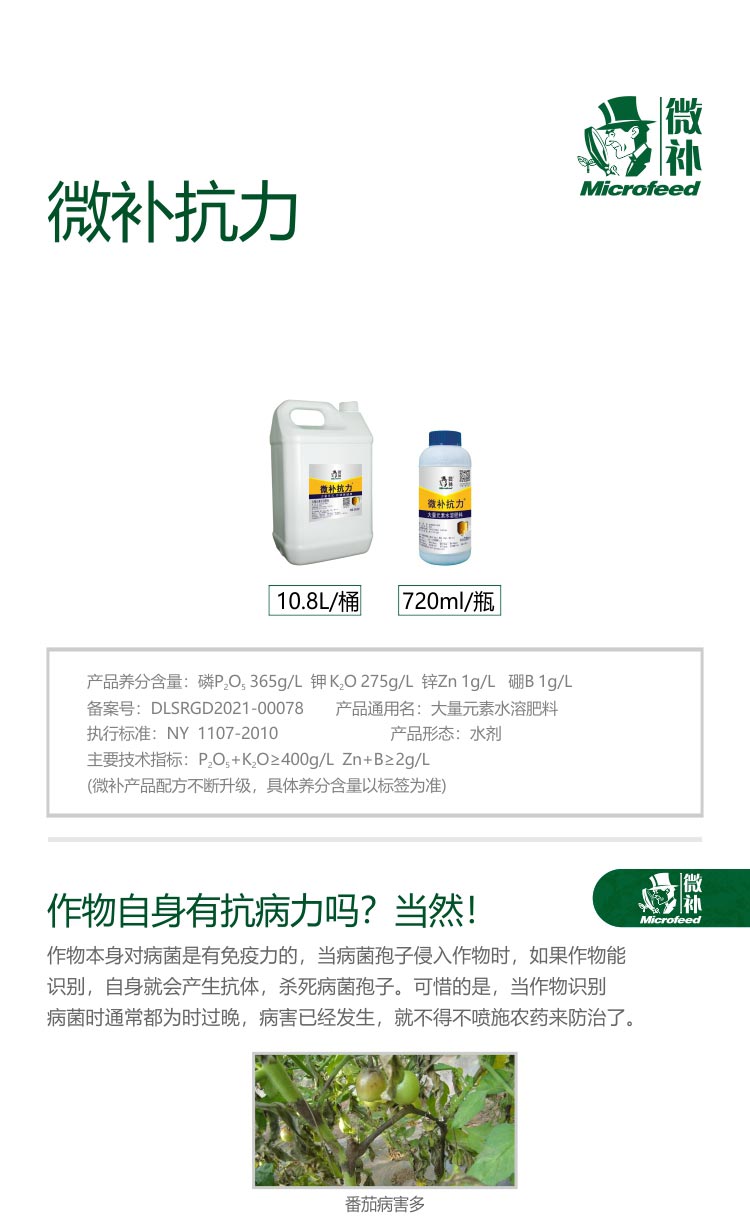 微补抗力