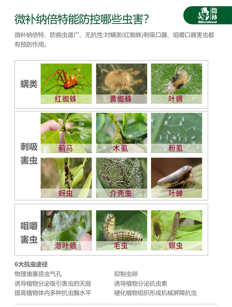 微补纳倍特