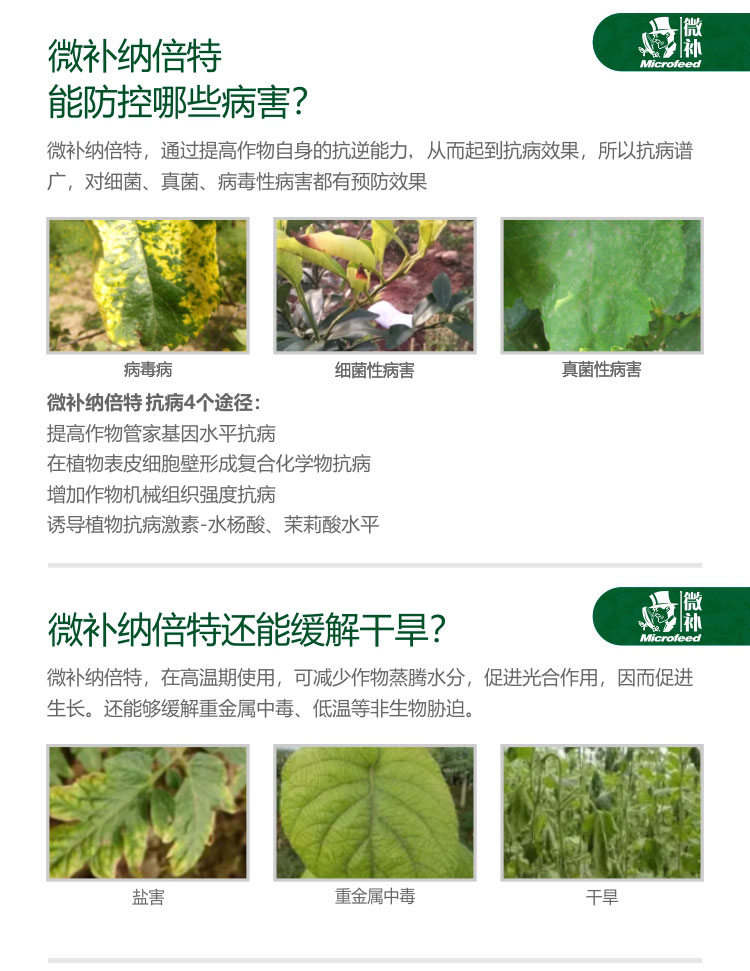 微补纳倍特