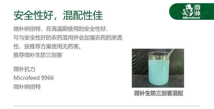 微补纳倍特
