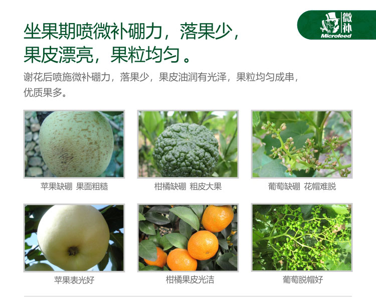 微补硼力