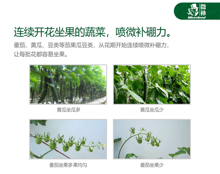 微补硼力