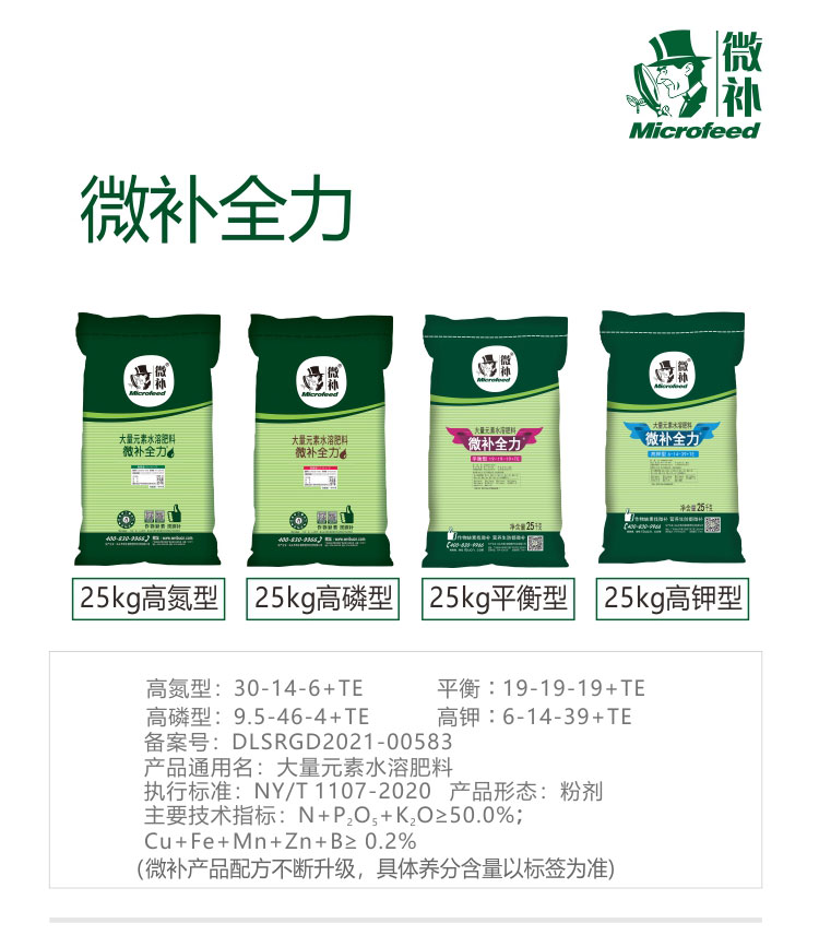 微补全力