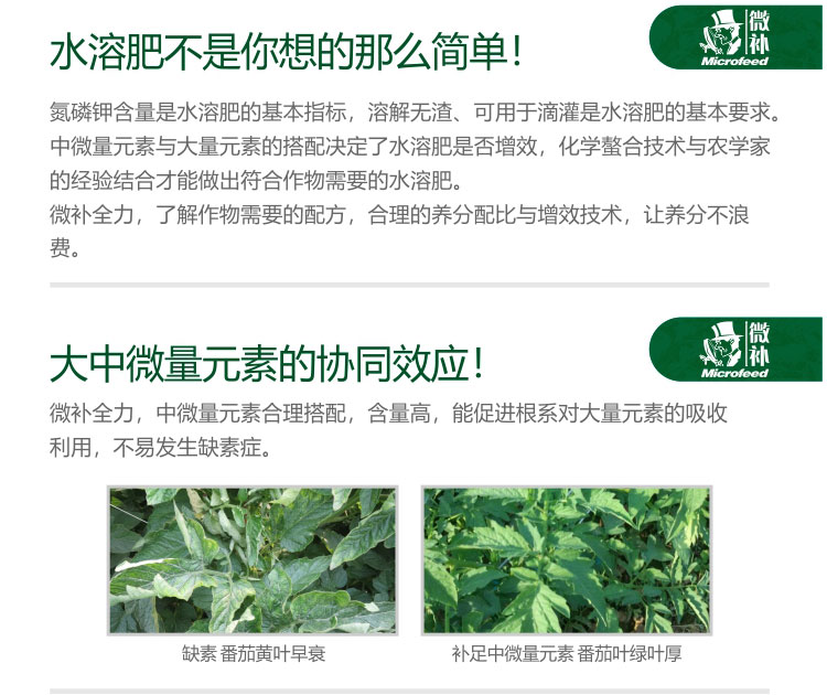 微补全力