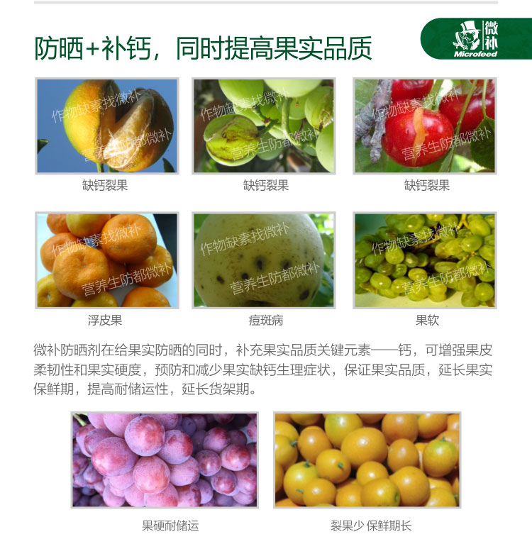 微补植物防晒剂