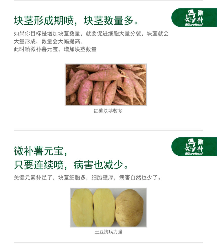微补薯元宝
