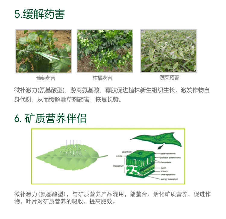微补激力（氨基酸型）