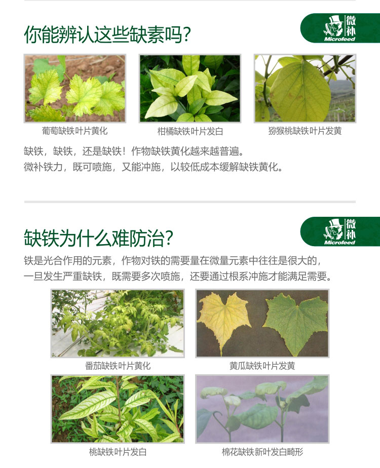 微补铁力