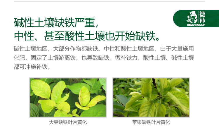 微补铁力