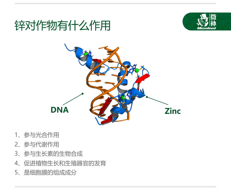 微补辛力