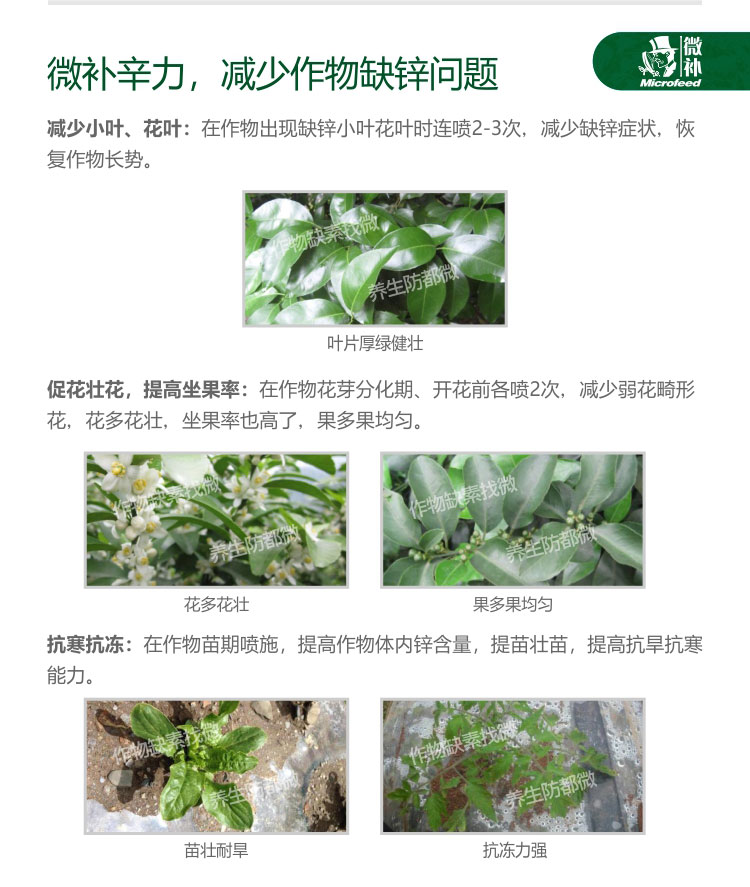 微补辛力