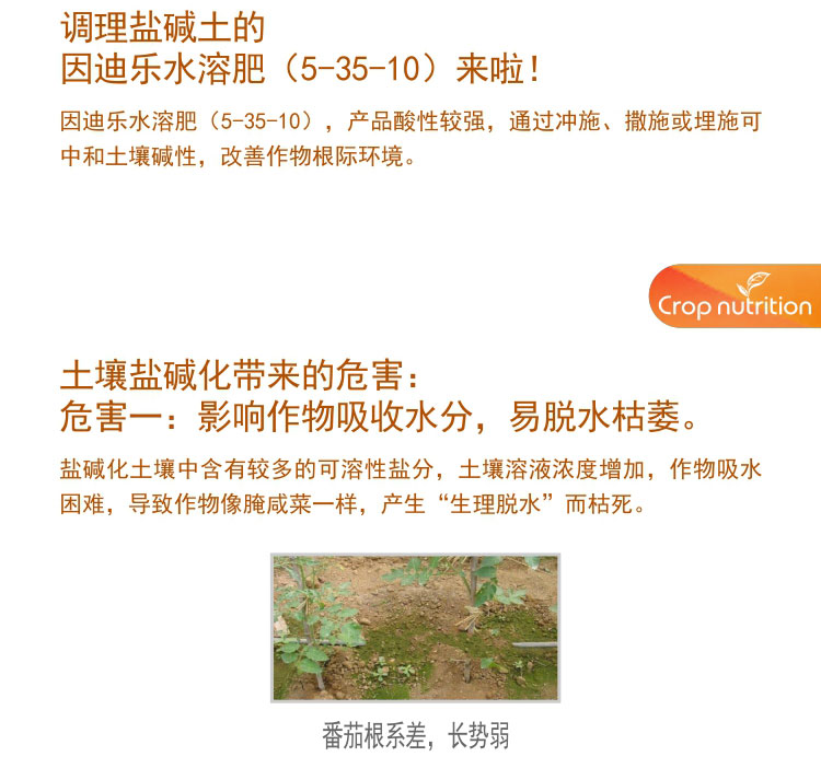 因迪乐水溶肥（5-35-10）