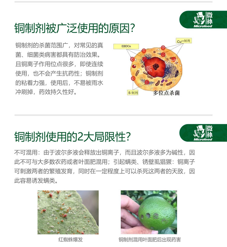Microfeed 9966