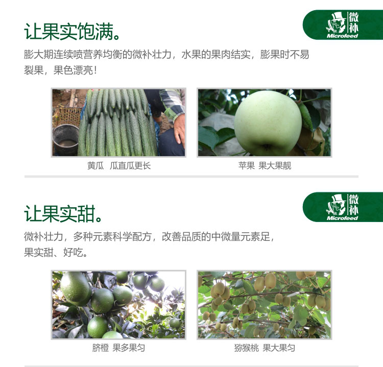微补壮力