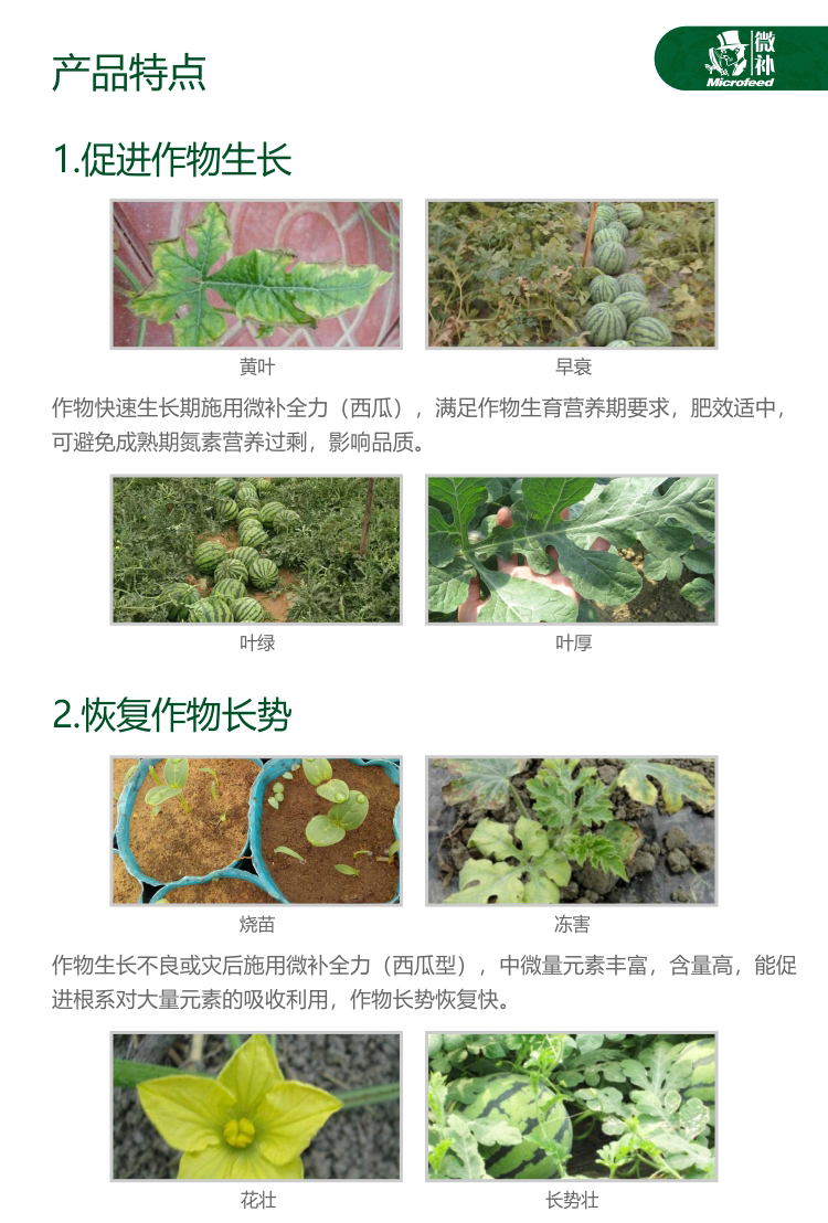 微补全力西瓜1kg
