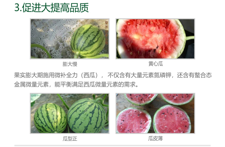 微补全力西瓜1kg