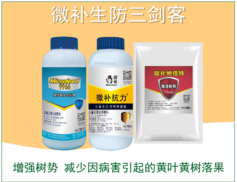 图片5