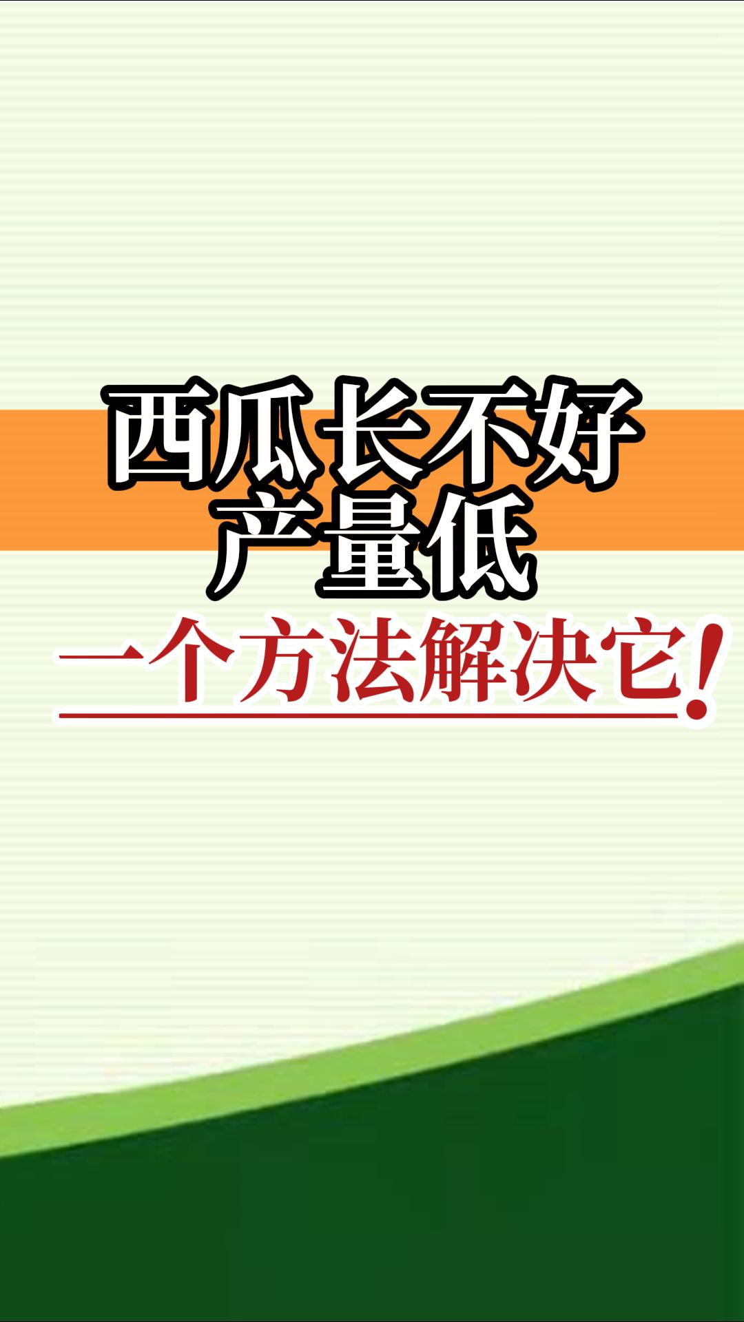 西瓜长不好产量低？