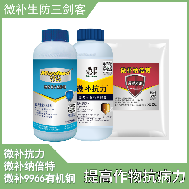 图片6