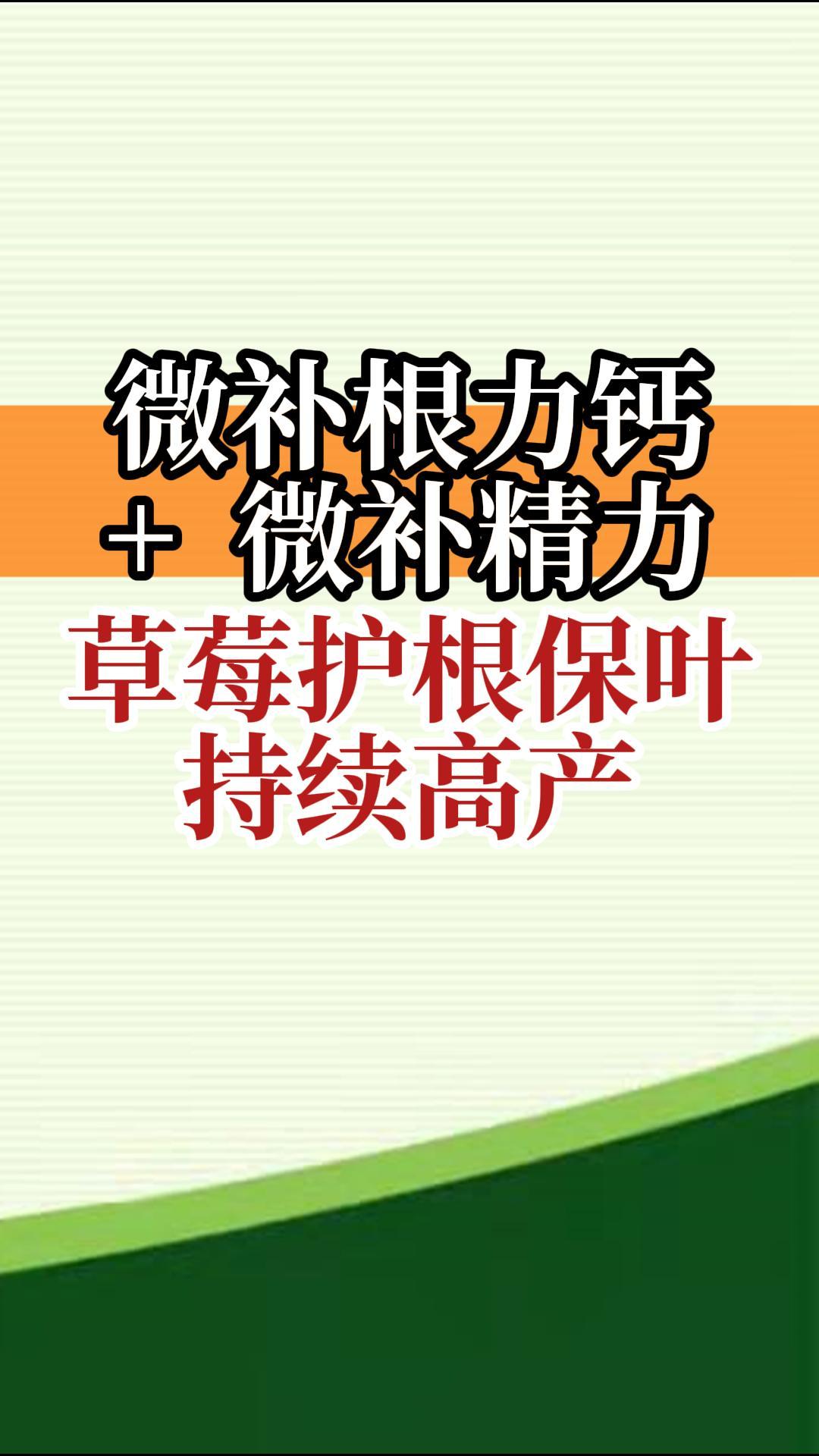 微补根力钙+微补精力 草莓护根保叶 持续高产