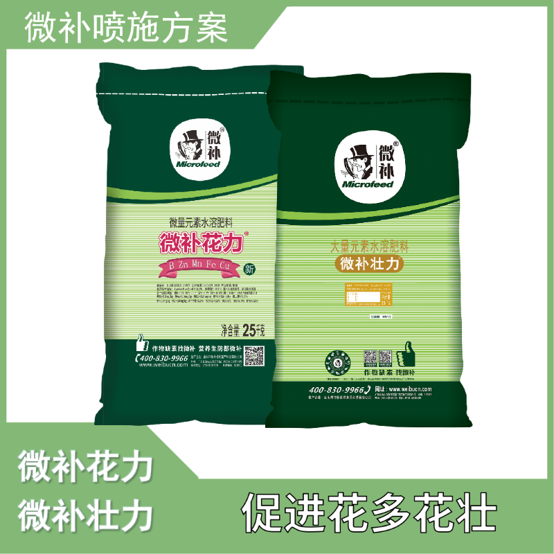 图片8