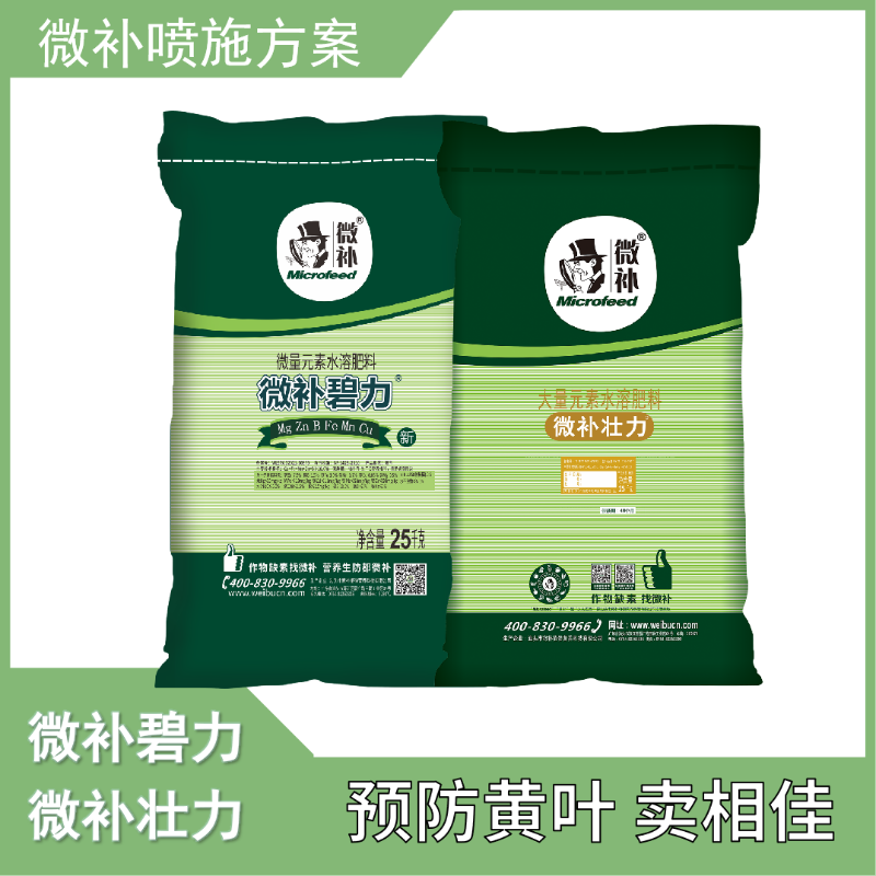 图片10