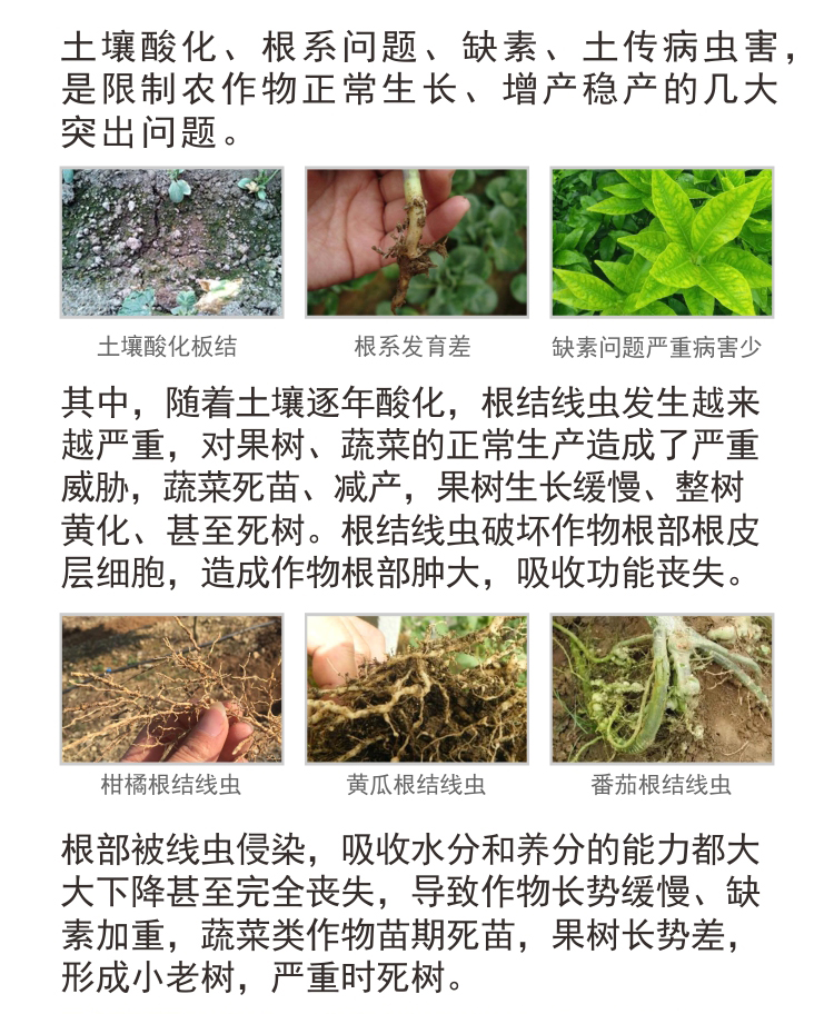 BioMicro线虫
