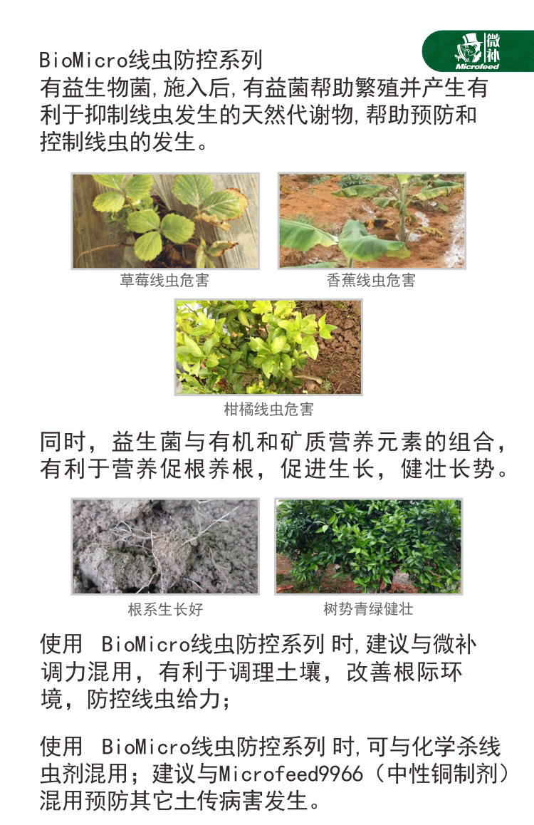 BioMicro线虫