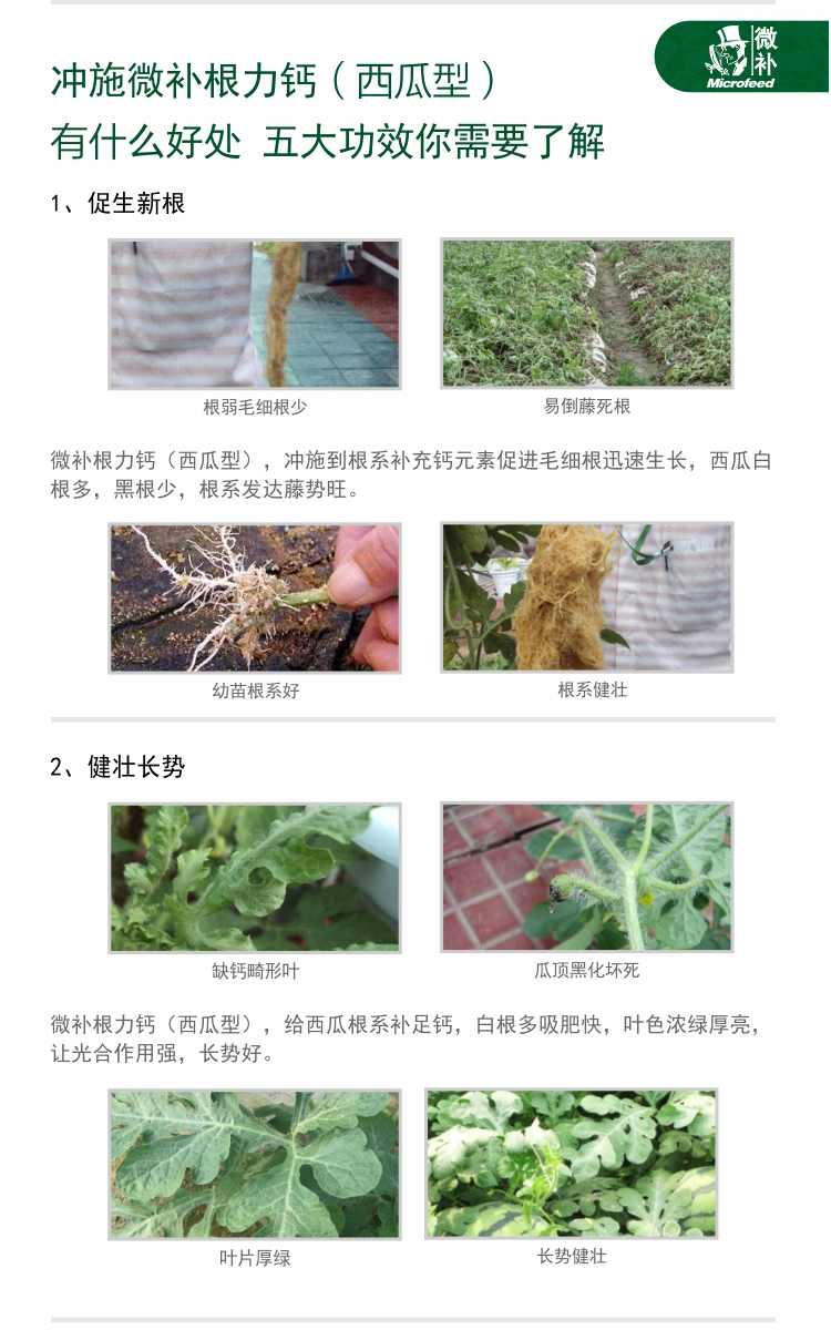 微补根力钙西瓜