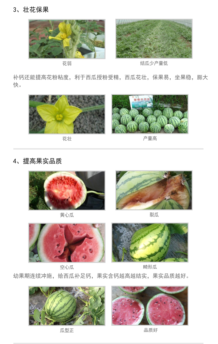 微补根力钙西瓜