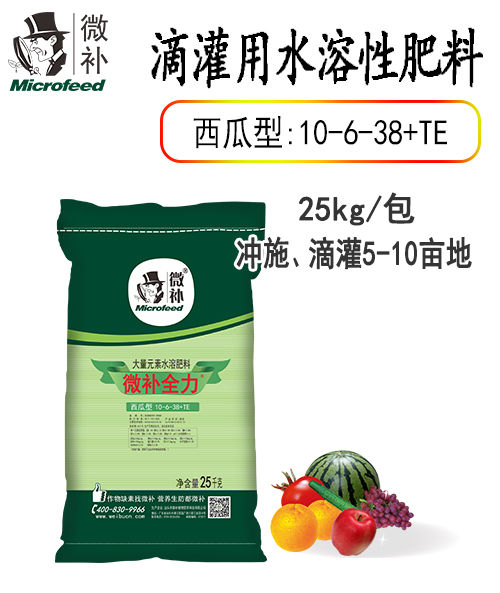 微补全力西瓜型10-6-38