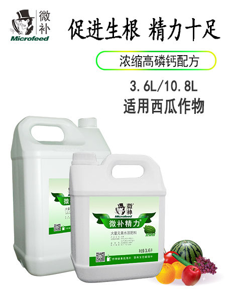 微补精力西瓜
