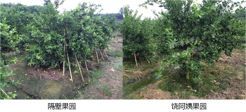 案例 (3)