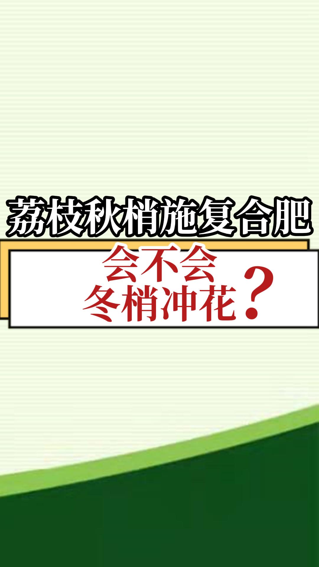 荔枝秋梢施复合肥，会不会冬梢冲花？