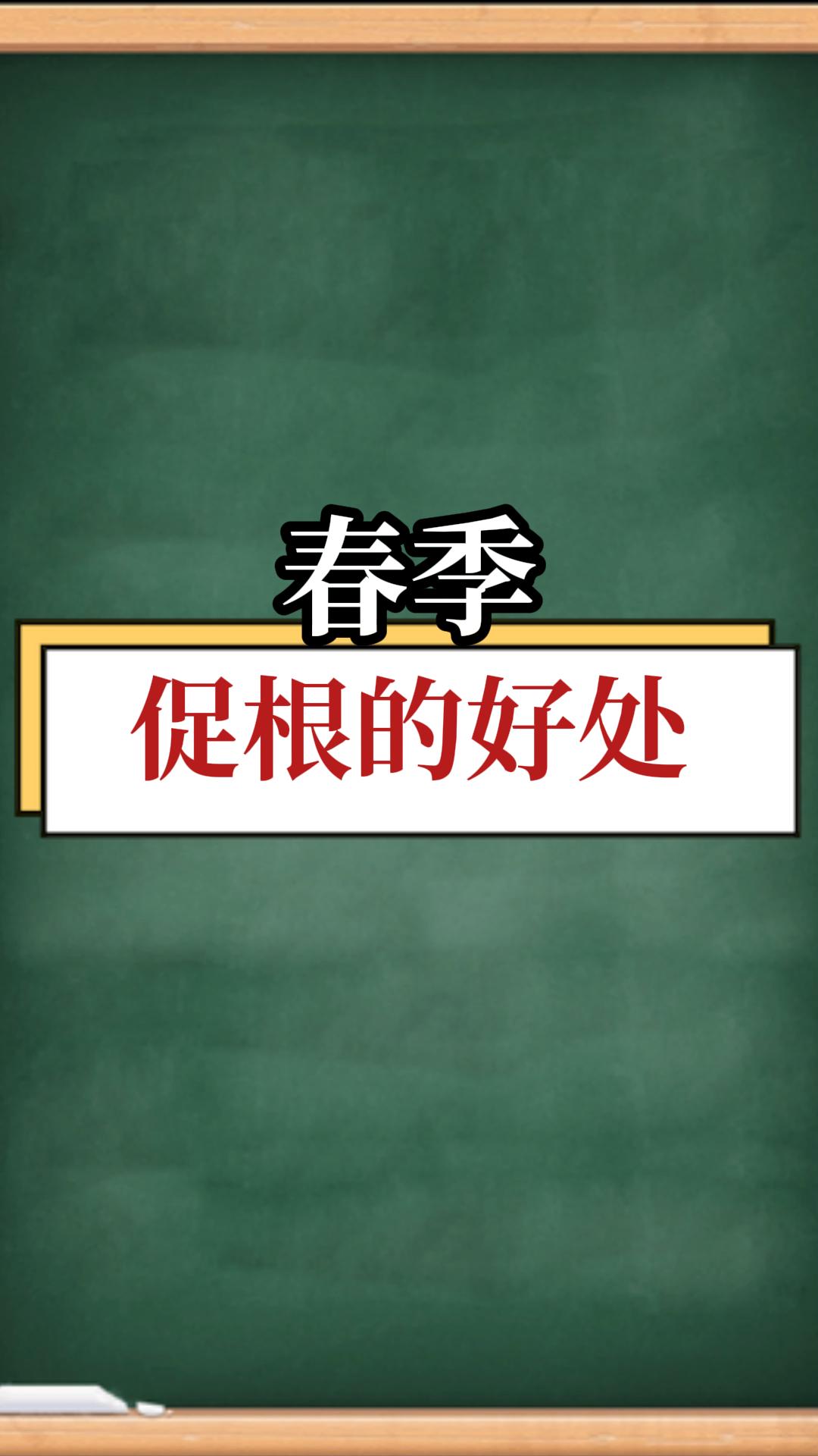 春季促根的好处