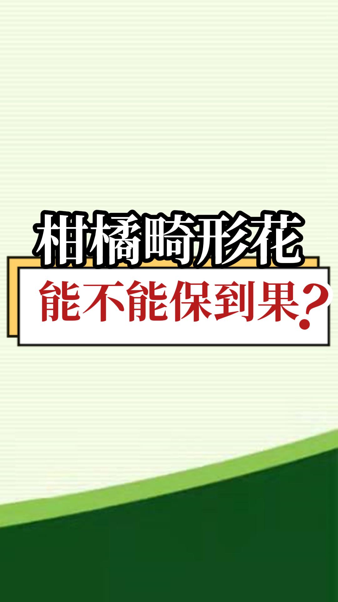柑橘畸形花能不能保到果？