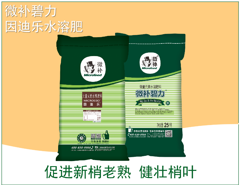 图片3