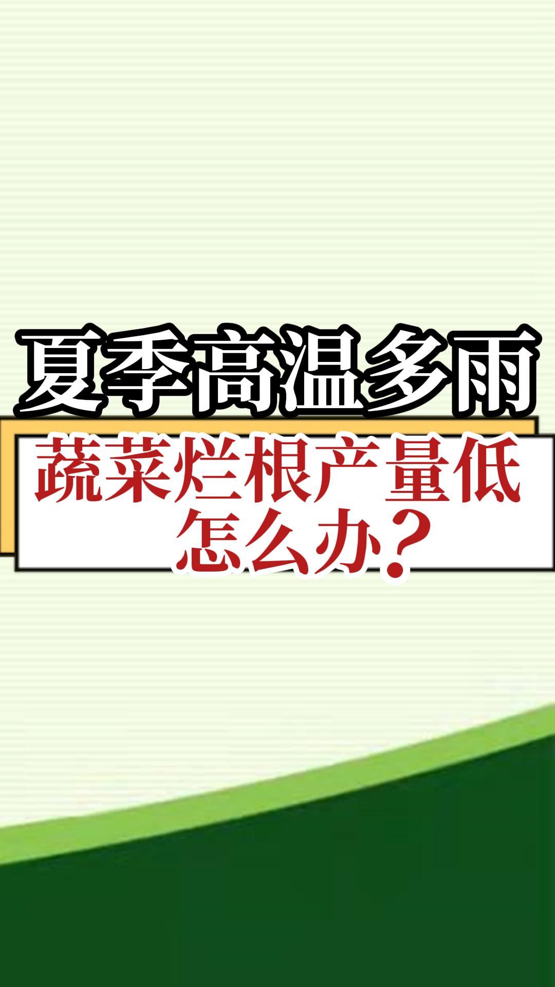 夏季高温多雨蔬菜烂根产量低怎么办