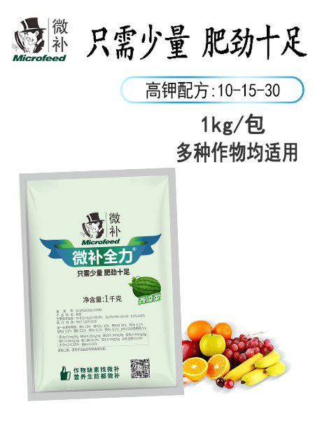 微补全力（西瓜型）