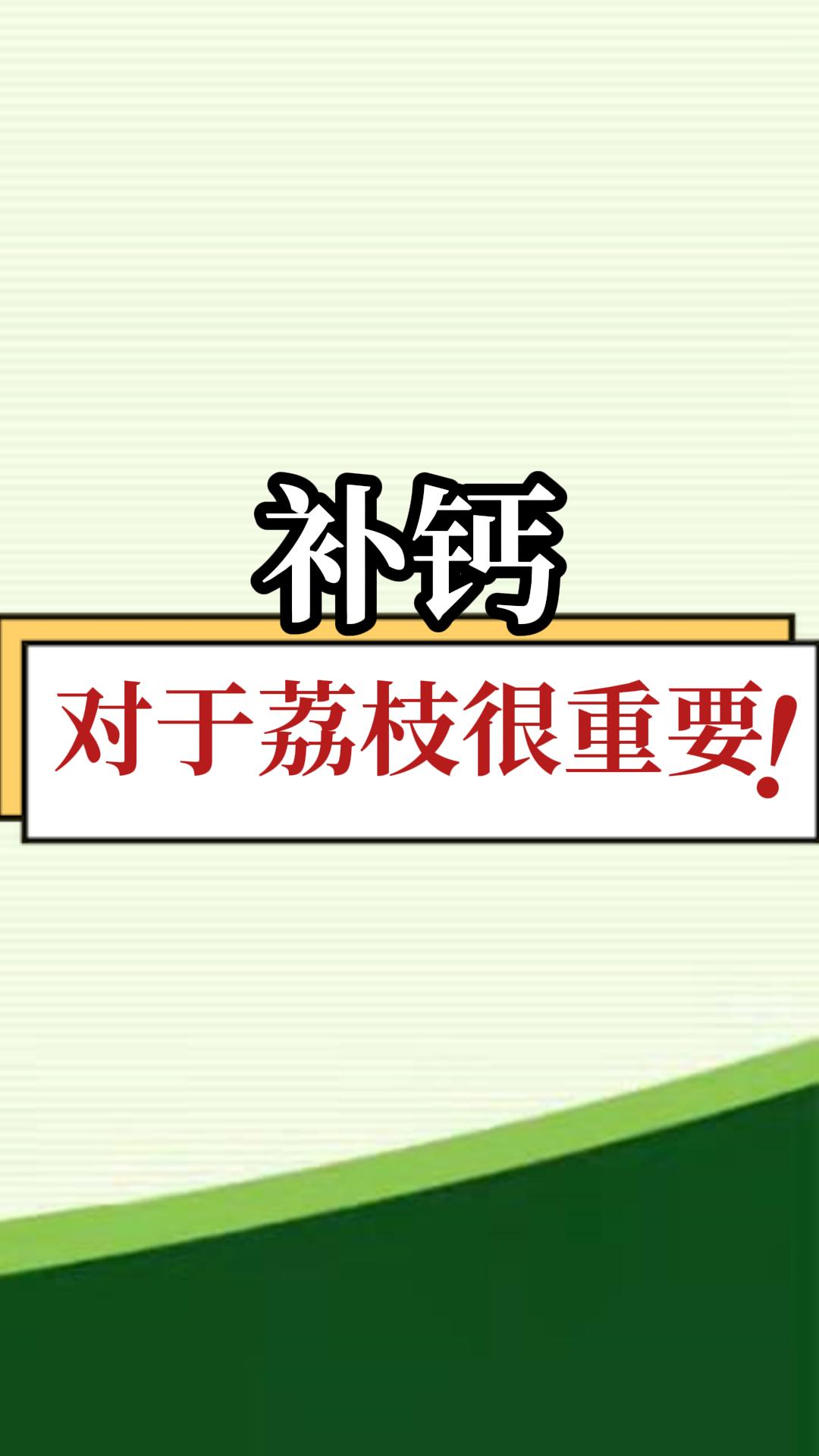 补钙对于荔枝很重要！