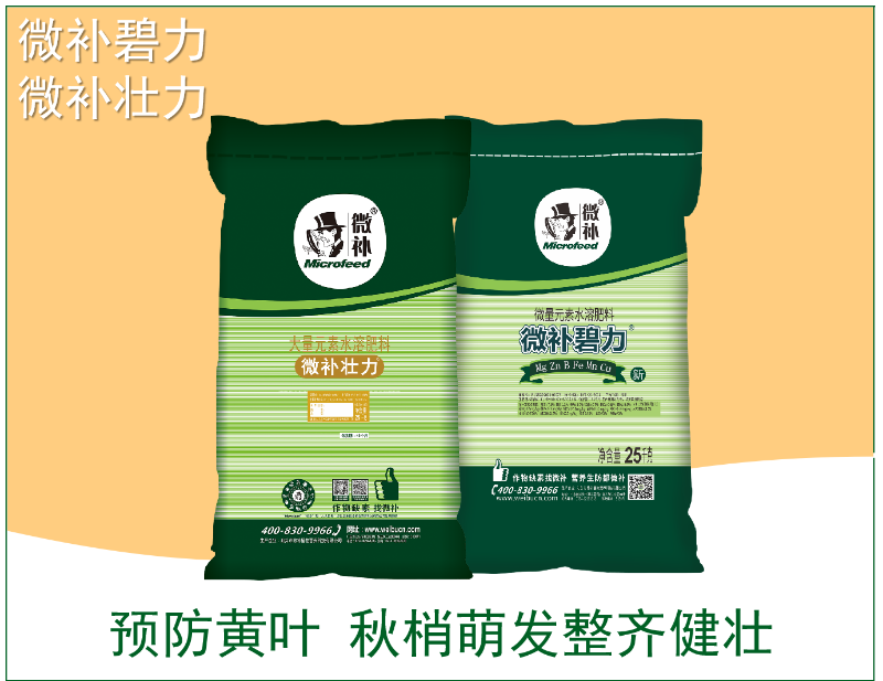 图片4