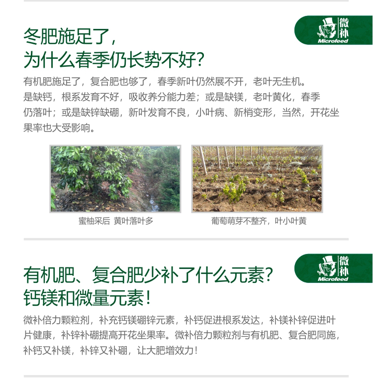 微补倍力