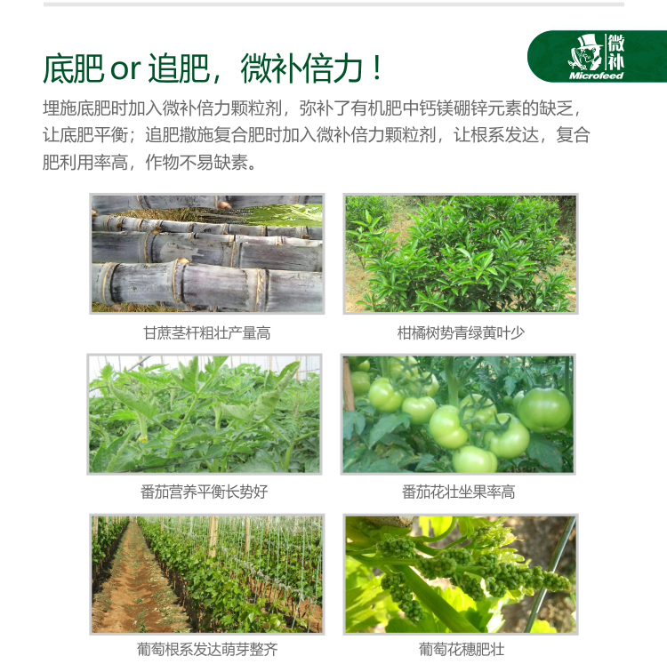 微补倍力