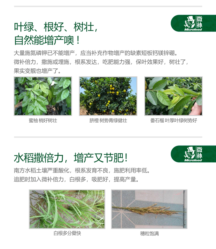 微补倍力